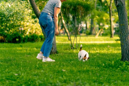 Téléchargez les photos : Le propriétaire d'un petit chien russell Jack drôle active joue avec elle dans le parc de la ville jette bâton à l'animal - en image libre de droit