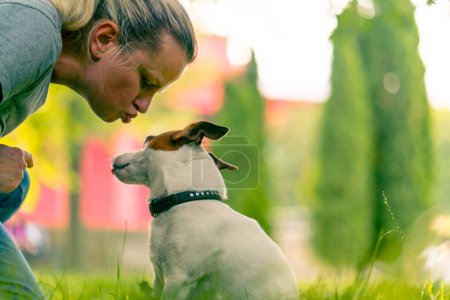 Téléchargez les photos : Gros plan zoo psychologue travaille avec petit Jack Russell terrier parc socialise chien embrasse son animal soins - en image libre de droit
