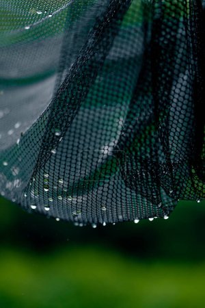Photo for Landscape nature river pier during a downpour drops on a fishing net from rain fishing close-up - Royalty Free Image
