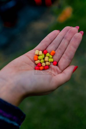 Foto de Primer plano de la mano del pescador sosteniendo peces comestibles coloridos cebo pesca deportiva al aire libre - Imagen libre de derechos
