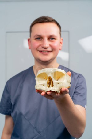 Téléchargez les photos : Portrait d'un professionnel accrédité souriant médecin ORL tenant une maquette du crâne dans la clinique - en image libre de droit