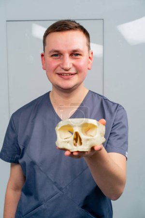 Photo for Portrait of a professional accredited smiling ENT doctor holding a mock-up of skull in the clinic - Royalty Free Image
