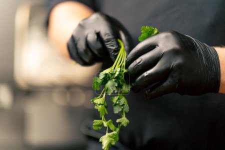 close-up in a professional kitchen the chef at the table peels parsley from the stems
