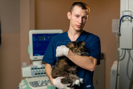 Foto de En una clínica veterinaria un veterinario cerca de una ecografía calma a un gato en sus brazos - Imagen libre de derechos