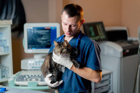 Photo for In a veterinary clinic a doctor with a stethoscope holds a cat in his arms and looks at the camera - Royalty Free Image