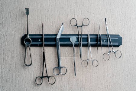 Foto de Primer plano en una clínica veterinaria en la pared en un panel magnético de varios instrumentos quirúrgicos - Imagen libre de derechos
