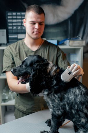 Foto de En una clínica veterinaria médico comprueba un chip bajo la piel de un perro con un sensor - Imagen libre de derechos