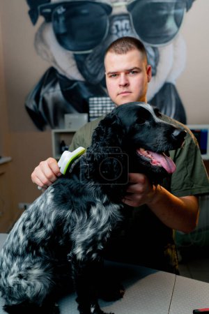 Téléchargez les photos : Gros plan dans une clinique vétérinaire médecin peigne les cheveux d'un épagneul noir - en image libre de droit