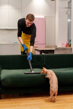 Foto de En un apartamento un limpiador en delantal amarillo profesionalmente aspira un sofá de terciopelo verde equipo profesional gato curioso - Imagen libre de derechos