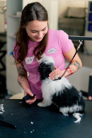 Foto de En un salón de peluquería una jovencita con una camiseta rosa besa a un perro blanco y negro - Imagen libre de derechos