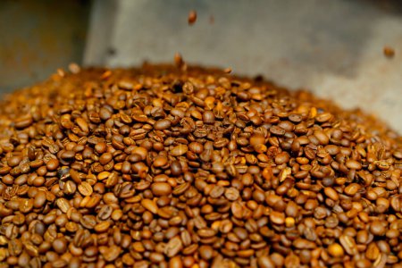Téléchargez les photos : Gros plan de l'usine de torréfaction de café dans un récipient en fer torréfié café frais - en image libre de droit