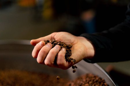 Téléchargez les photos : Gros plan d'un homme tenant du café fraîchement torréfié dans ses mains dans une usine de torréfaction - en image libre de droit