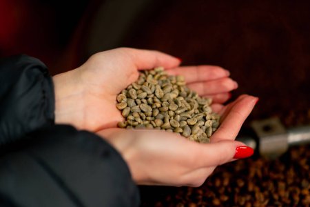 Foto de Close-up of a girl holding freshly green coffee in her hands at a roasting factory - Imagen libre de derechos