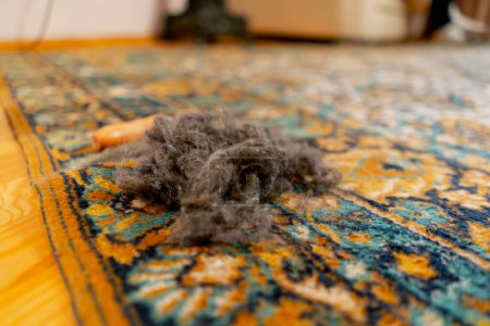 Photo for Close up professional cleaning of the apartment there is a wool scraper and a wool spool on the carpet a clean surface - Royalty Free Image