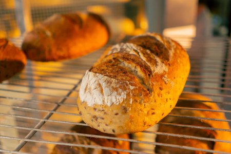 Téléchargez les photos : Gros plan de pain chaud fraîchement cuit sur une grille de fer dans une cuisine professionnelle - en image libre de droit