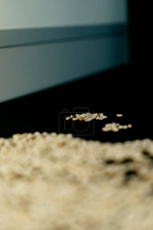Photo for Close-up at a coffee roasting factory sorts a green coffee with his hands - Royalty Free Image