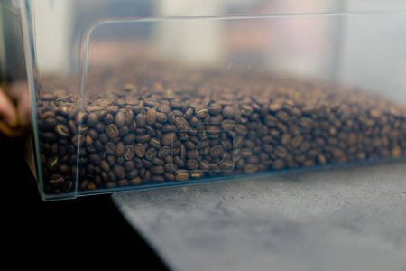 Téléchargez les photos : Dans une usine de torréfaction de café un testeur de café dans un récipient transparent sur la table - en image libre de droit