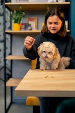 Foto de En los brazos de su dueño está feliz de estar con ella y comer delicioso primer viaje a la cafetería del perro - Imagen libre de derechos