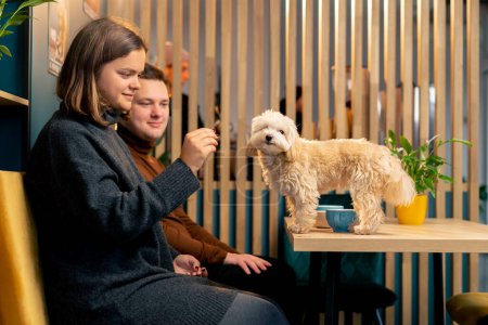 Téléchargez les photos : Lapdog sur la table, il est heureux d'être à côté d'elle et de manger délicieux premier voyage le café de chien - en image libre de droit