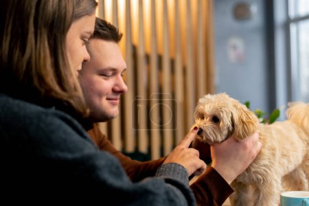 Téléchargez les photos : Lapdog sur la table il est heureux d'être à côté de son premier voyage le chien café amour à l'animal - en image libre de droit