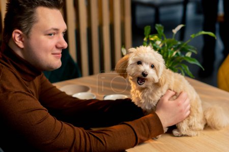 Téléchargez les photos : Portrait d'un petit chien lapdog sur la table premier voyage au propriétaire du café chien animaux de compagnie le chien - en image libre de droit