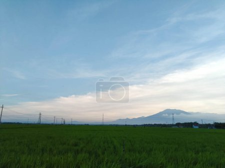 Hermosa vista de campos de arroz y cielo