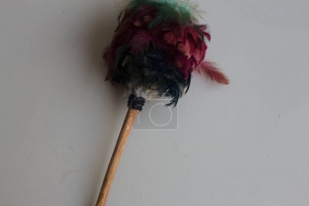 Photo for Small feather duster as a manual cleaning tool - Royalty Free Image