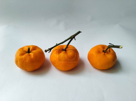 Téléchargez les photos : Fruits orange sur fond blanc - en image libre de droit