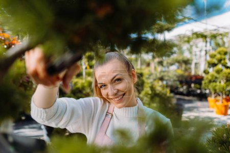 Téléchargez les photos : Femme jardinière dans des tabliers s'occupant de plantes. Point de vue des plantes. Photo de haute qualité - en image libre de droit