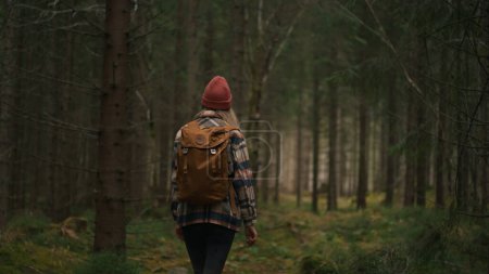 Téléchargez les photos : Back view of the young woman hiking in forest. Active healthy caucasian woman with backpack traking in wood. Female traveler walks along forest rear view. Leisure, bio-tourism, hiking concept - en image libre de droit