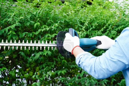 Photo for Gardener trimming bush by electric hedge clippers in garden. Hobby at home. - Royalty Free Image