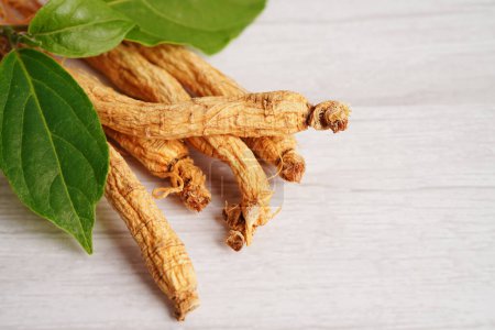 Photo for Ginseng roots and green leaf, healthy food. - Royalty Free Image