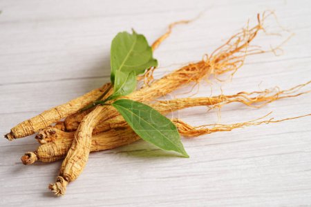 Photo for Ginseng roots and green leaf, organic nature healthy food. - Royalty Free Image