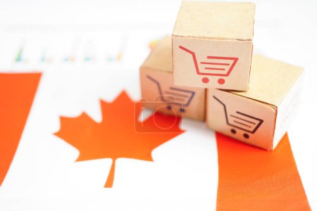 Foto de Compras en línea, Cesta de la compra en la bandera de Canadá, exportación de importación, comercio financiero. - Imagen libre de derechos