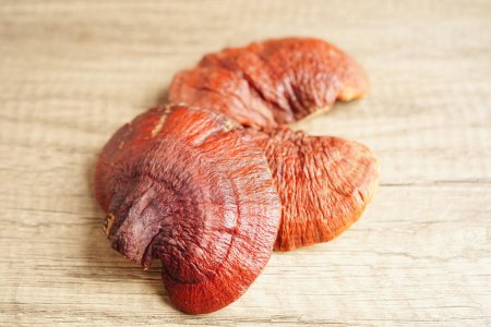 Photo for Lingzhi or Reishi mushroom with capsules, organic natural healthy food. - Royalty Free Image