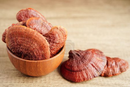 Photo for Lingzhi or Reishi mushroom with capsules, organic natural healthy food. - Royalty Free Image