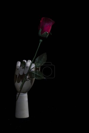 Foto de Mano de madera sosteniendo una rosa roja sobre un fondo negro fotografía romántica - Imagen libre de derechos