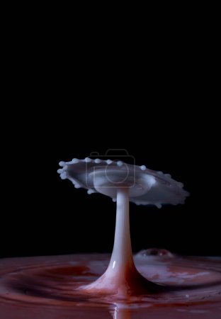 Foto de Image of a white umbrella formed by the collision of drops of milk when falling on a background of water with a red tint photographs of drops - Imagen libre de derechos