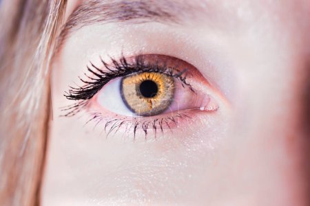 Foto de Fotografía de un ojo de color claro de una mujer joven - Imagen libre de derechos
