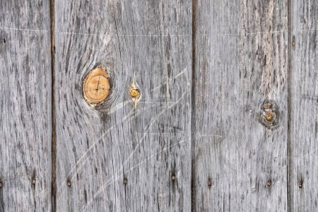 Photo for Wooden background of grey aged board with rusty nails. High quality photo - Royalty Free Image