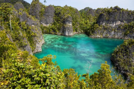 A bright lagoon in lush greenery near one of the islands of the Raja Ampat archipelago. High quality photo