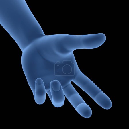 Téléchargez les photos : Anatomie de la main du corps humain. 3D - en image libre de droit