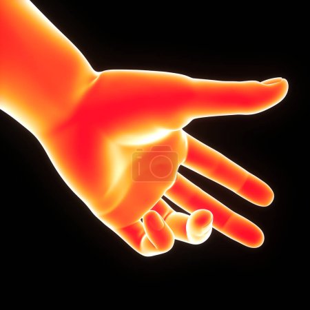 Photo for Human Body Hand Pose Anatomy. 3D - Royalty Free Image