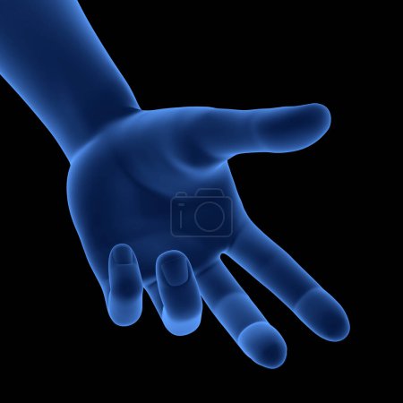 Photo for Human Body Hand Pose Anatomy. 3D - Royalty Free Image
