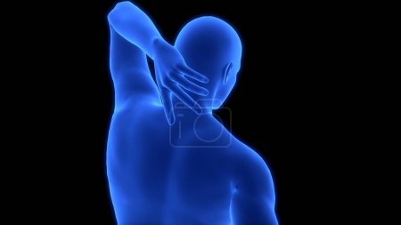 Photo for Human Body Suffering with Back pain Anatomy. 3D - Royalty Free Image