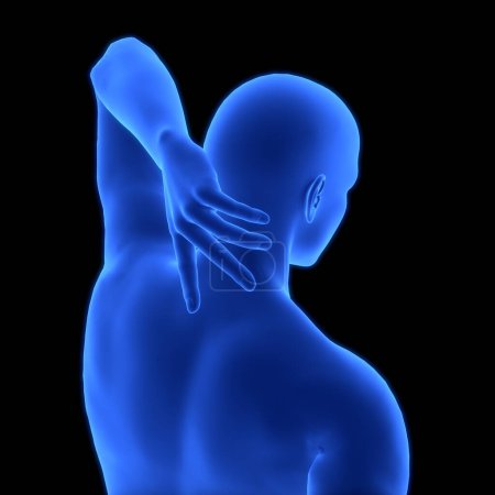 Foto de Cuerpo humano que sufre de dolor de espalda Anatomía. 3D - Imagen libre de derechos