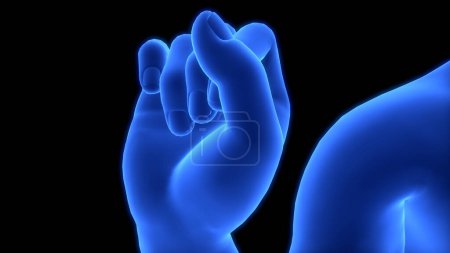Photo for Human Body Folding Hand Fingers Anatomy. 3D - Royalty Free Image