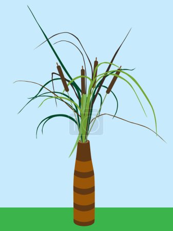 Illustration for A decorative vase with cattails is sitting out in the open - Royalty Free Image