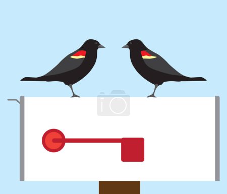 Illustration for Two red winged blackbirds are socializing on a mailbox - Royalty Free Image
