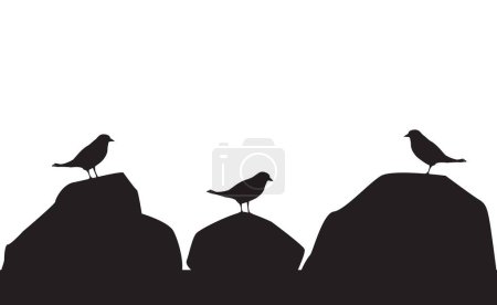 A trio of birds is standing on rocks and socializing in silhouette